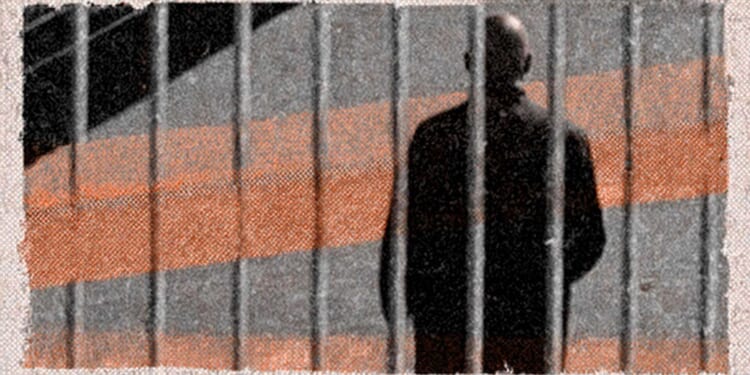 Brickbat: Some Horseplay