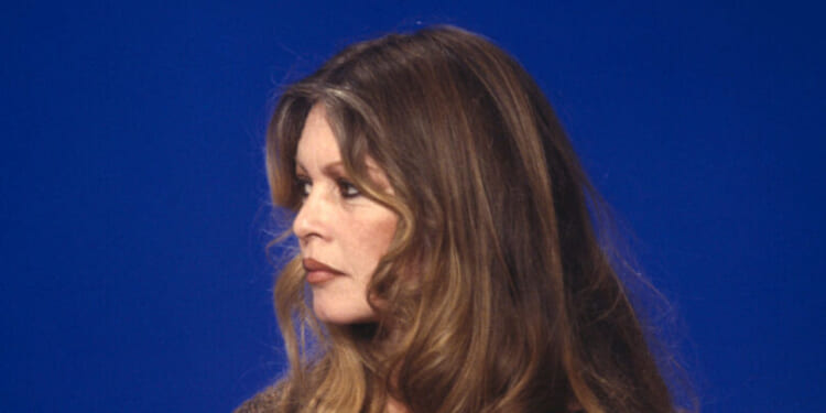 Brigitte Bardot was not an 'icon' but an instrument of the Revolution