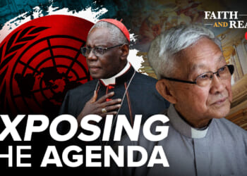 Cardinal Sarah EXPOSED “godless rights” of United Nations