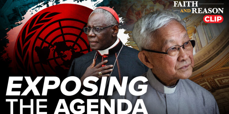 Cardinal Sarah EXPOSED “godless rights” of United Nations