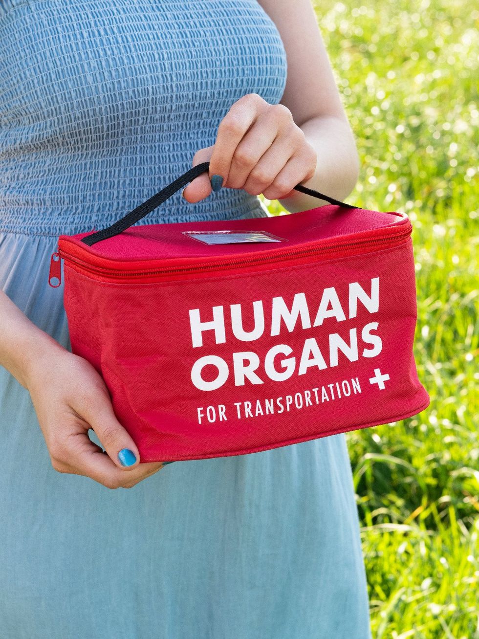 The Human Organs Lunch Bag