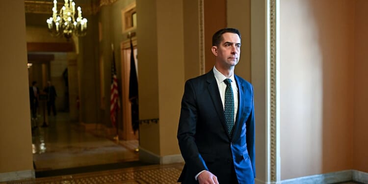 Cotton Says Foreign Fraudsters Should Face Swift Deportation As Investigations Escalate