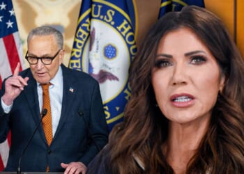 Democrats plan to block DHS funding after the Alex Pretti killing. Republicans should join them.