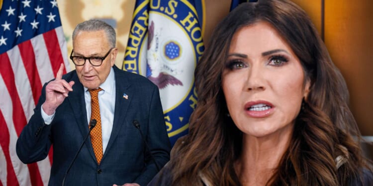 Democrats plan to block DHS funding after the Alex Pretti killing. Republicans should join them.