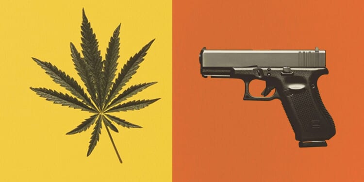 Disarming millions of Americans based on marijuana use is unconstitutional, a SCOTUS brief says