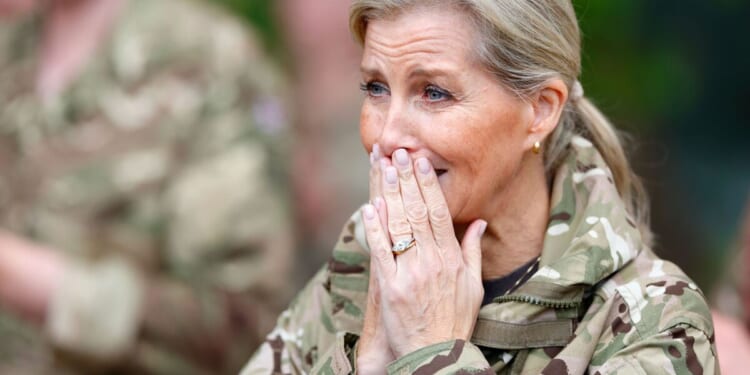 Duchess Sophie shares 'frustration' after marrying Prince Edward | Royal | News