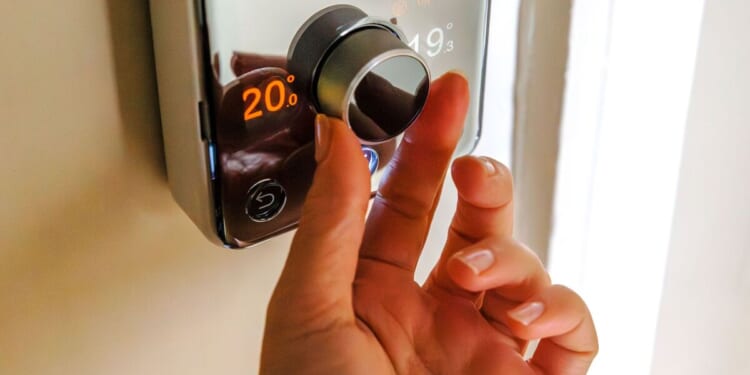 EDF's first 'free electricity' Sunday is closing in - eligibility | UK | News