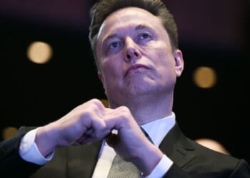 Elon Musk Weighs in on Minnesota ICE Operation