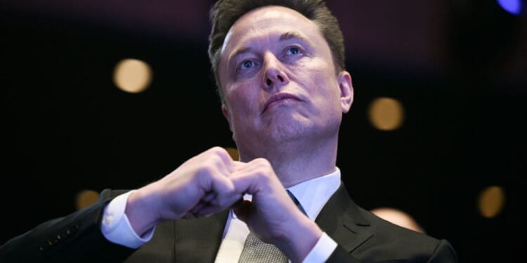 Elon Musk Weighs in on Minnesota ICE Operation