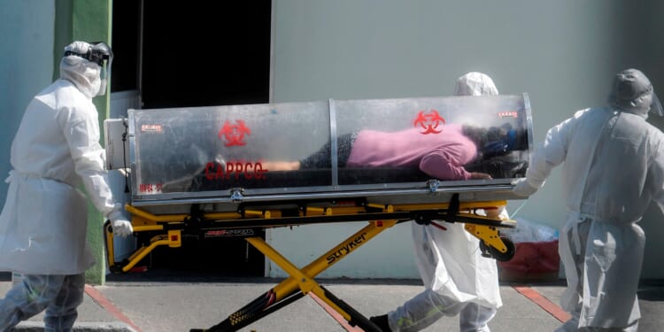 Fauci suppressed crucial covid-19 data, officials claim