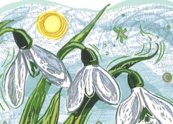 Finding God in the created world by Claire Daniel and illustrated by Jamie Poole