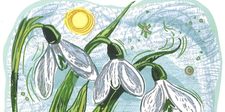 Finding God in the created world by Claire Daniel and illustrated by Jamie Poole