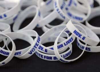 Florida Man Running for Congress Touts a ‘Nazi’ Web Address Connects to DHS