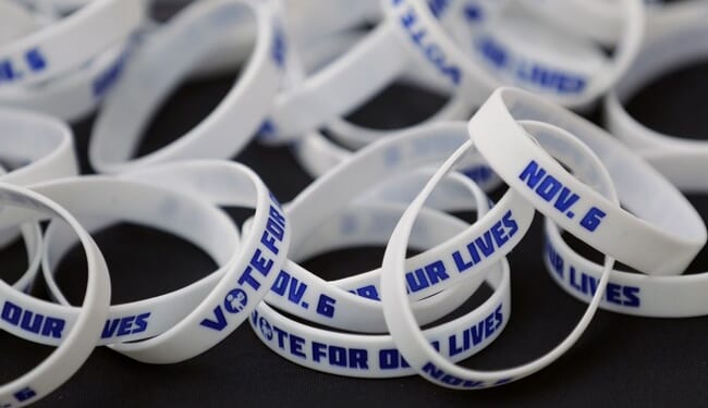 Florida Man Running for Congress Touts a ‘Nazi’ Web Address Connects to DHS