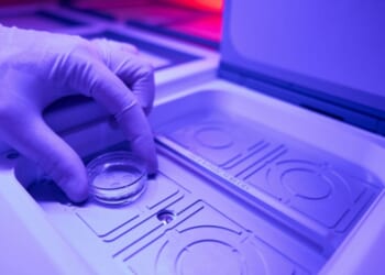 Florida couple sues IVF clinic after birth of child from another woman's embryo