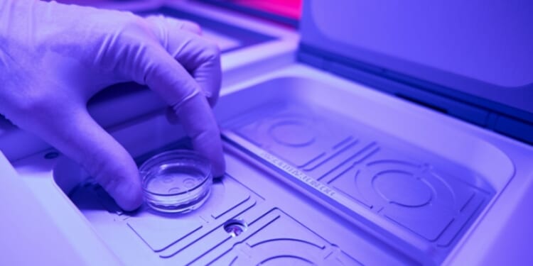 Florida couple sues IVF clinic after birth of child from another woman's embryo