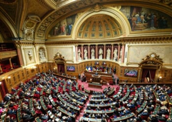 French Senate derails Macron-backed bill legalizing euthanasia