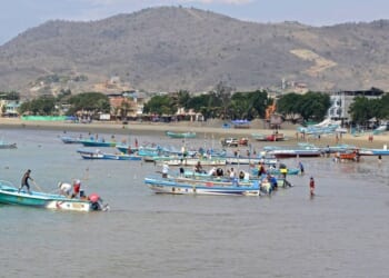 Gruesome drug cartel warning as five human heads strung up on beach | World | News