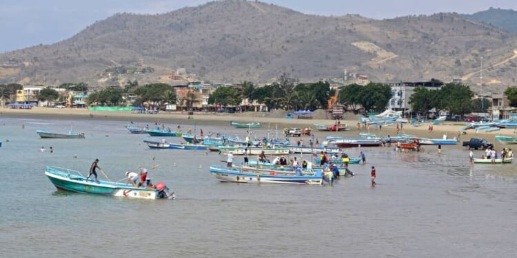 Gruesome drug cartel warning as five human heads strung up on beach | World | News