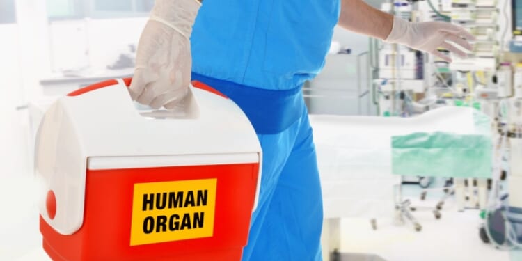 HHS deputy secretary shocked to hear about 'horrors' of euthanasia organ donation in Canada