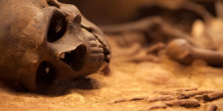 Hands, Feet, And Hundreds Of Bones Found In Pennsylvania Man’s Basement And Storage Unit
