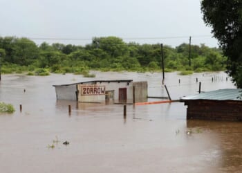 Horror in South Africa as 30 killed in natural disaster | World | News