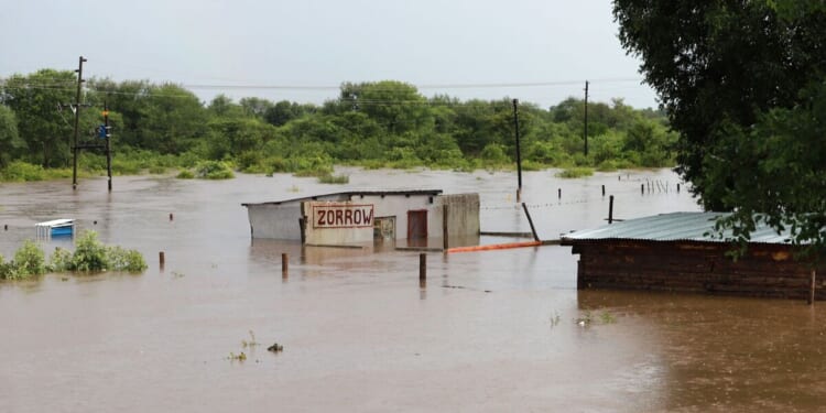 Horror in South Africa as 30 killed in natural disaster | World | News