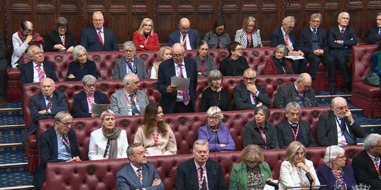 House of Lords votes for more time to scrutinise assisted-dying legislation
