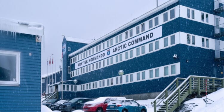 'If America invades Greenland we have to start shooting' : insider's dire warning | World | News