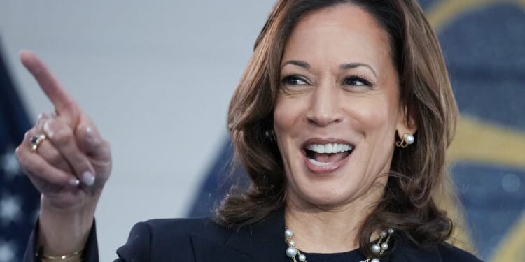 Kamala ‘Climate Change Crisis’ Harris Just Bought Beachfront Property In Malibu