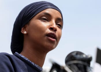 Lessons to Learn From the Minnesota Fraud Scandal