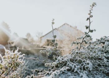 Met Office names 8 areas facing risk of freezing disruption before Wednesday - full list | Weather | News