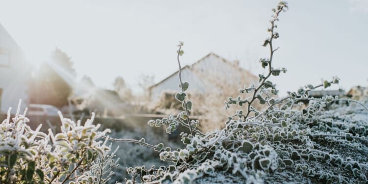 Met Office names 8 areas facing risk of freezing disruption before Wednesday - full list | Weather | News