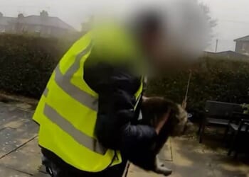 Moment 'Amazon delivery driver scoops cat from doorstep' | UK | News