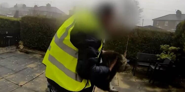 Moment 'Amazon delivery driver scoops cat from doorstep' | UK | News