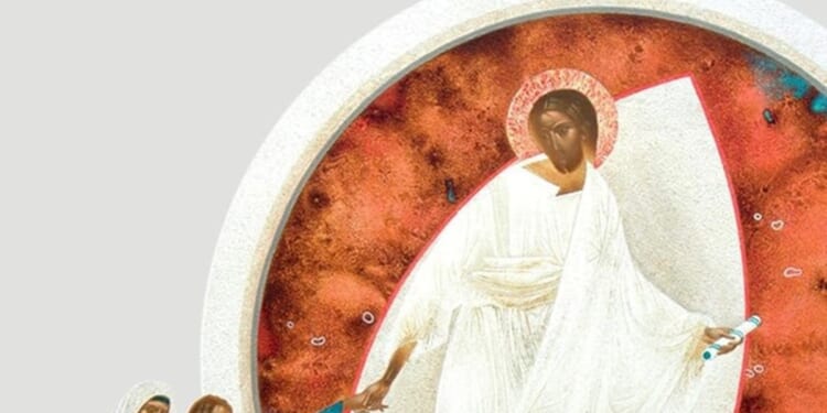 New books just published