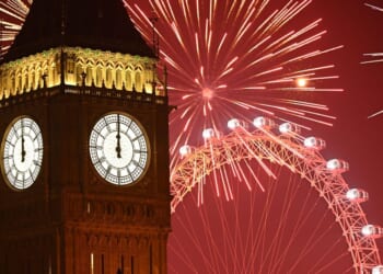 New investigator of MPs will look into explosive allegations | Politics | News