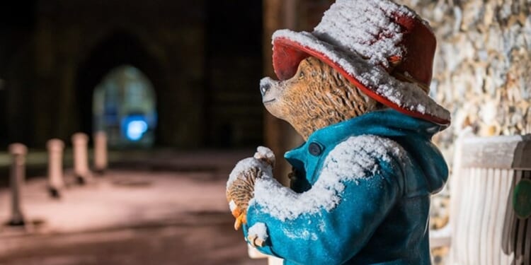 Photo stories of the week