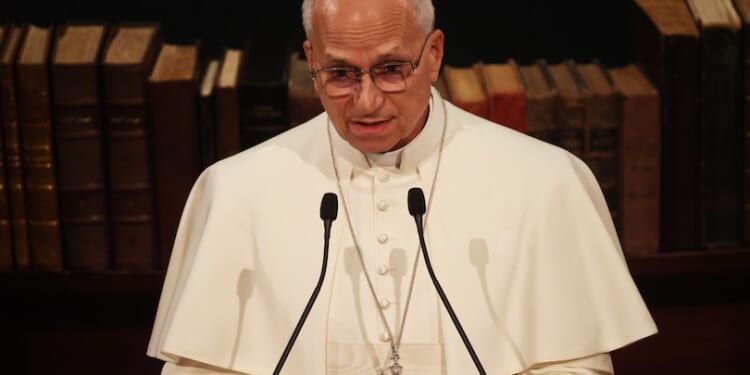 Pope Leo praises Vatican document that rejected Our Lady's 'Co-Redemptrix,' 'Mediatrix' titles