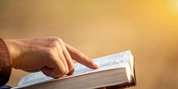 Pro-life MP slams Liberal for saying 'MAGA religious extremism' justifies 'hate speech' bill