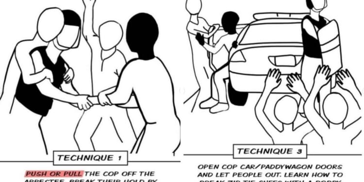 Radical Minnesota ICE Watch Groups Instruct ‘White Folks’ To Break Black Detainees Out Of Cop Cars