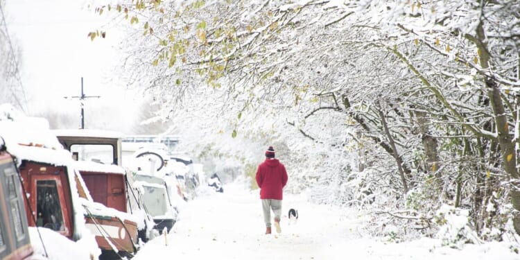 Snow maps turn purple as 515-mile blizzard batters 45 counties - full list | Weather | News