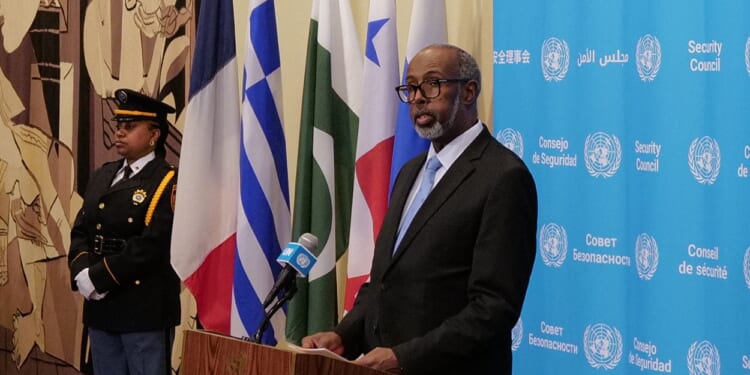 Somali UN Ambassador Tied to Fraud in Ohio, HHS Confirms
