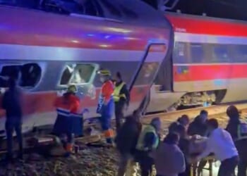 Spain train crash survivor recalls move that saved her | World | News