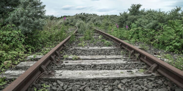 The 9 biggest countries in the world that don’t have a single railway | World | News