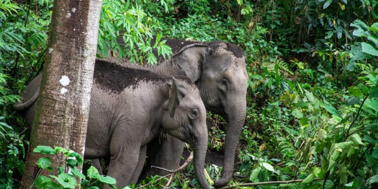 Travel: Volunteering trips abroad