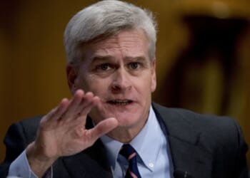 Trump Pre-Endorses Julia Letlow for LA Senate, and Any Way You Slice It, Bill Cassidy May Be Toast – RedState