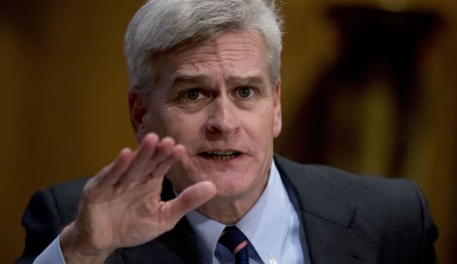 Trump Pre-Endorses Julia Letlow for LA Senate, and Any Way You Slice It, Bill Cassidy May Be Toast – RedState