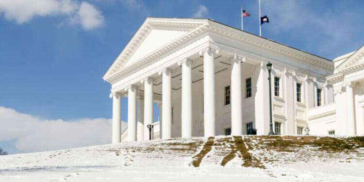 Virginia bishops vow to 'fight' radical pro-abortion amendment with 'maximum determination'