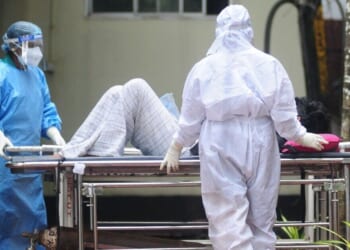 What is Nipah virus? Symptoms explained of killer new bug from India | World | News